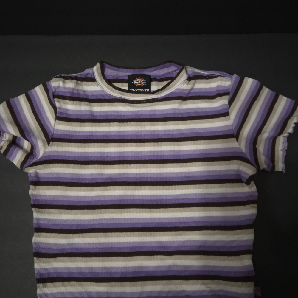 Dickies Short Sleeve Striped Tee - Lavender, White, and Brown